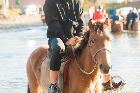 Horseback Riding Tour to Turtle Rock & Aryabal Brief Introduction to Mongol Horse