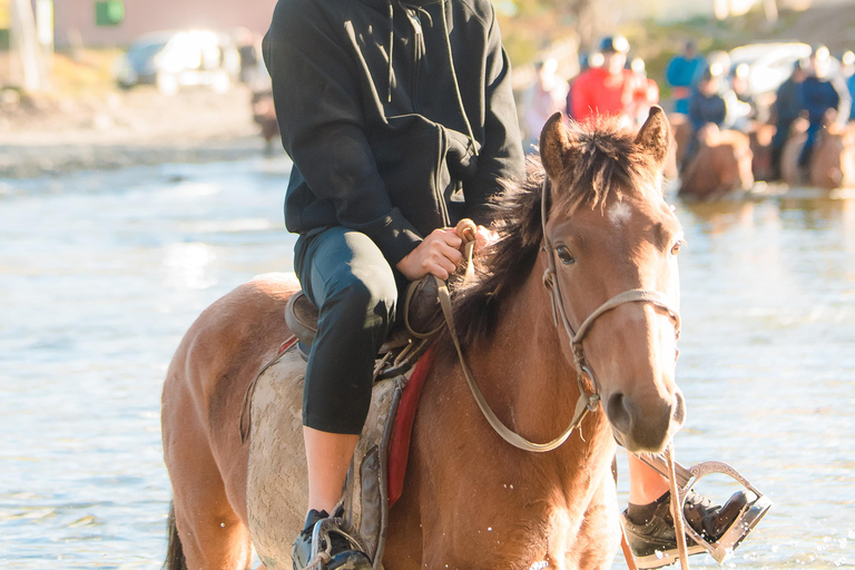 Horseback Riding Tour to Turtle Rock & Aryabal Brief Introduction to Mongol Horse