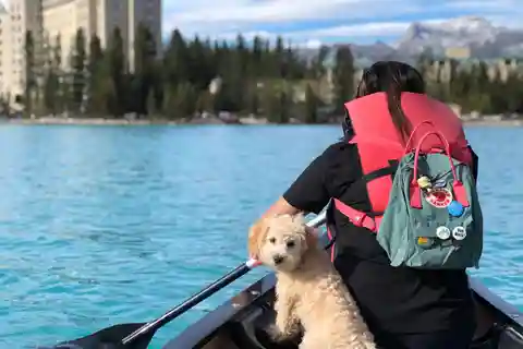 Explore Banff: Lake Louise & Moraine Lake Day Trip Shuttle