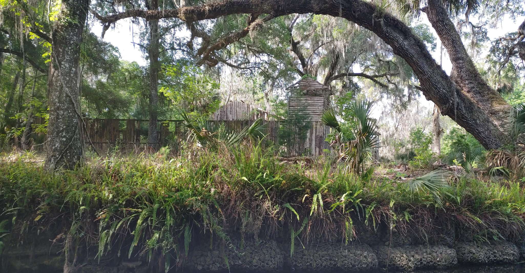 Silver Springs Manatee Kayaking Tour - Housity