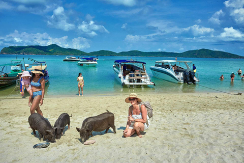 Koh Samui: Pig Island Tour by Speedboat with Snorkeling Private Tour or Cruise Ship Option