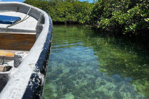 Gira 4 en 1 Portobelo, Cristo Negro, Venas Azules y Playa Blanca