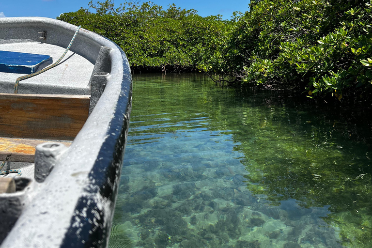 Gira 4 en 1 Portobelo, Cristo Negro, Venas Azules y Playa Blanca