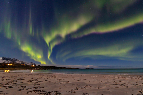 De Svolvær: Visita guiada à aurora boreal em uma van