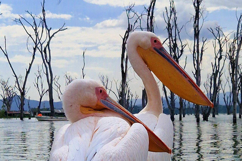 Nairobi: Hell's Gate Park Cycling & Lake Naivasha Tour