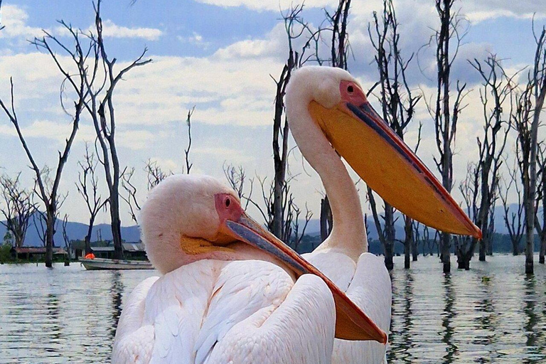 Nairobi: Hell's Gate Park Cycling & Lake Naivasha Tour