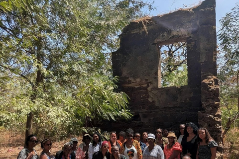 Gambia: Senegal Day Trip with Fathala Reserve & Lunch