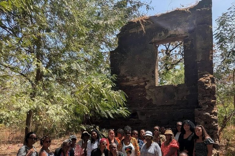 Gambia: Senegal Day Trip with Fathala Reserve & Lunch