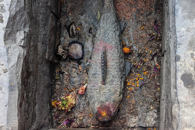 Vom Basar zum Hippie-Treffpunkt: Ason &amp; Freak Street Tour