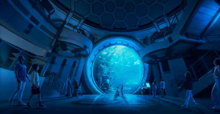 Abu Dhabi:SeaWorld Entry Ticket & Optional Experiences photo 9