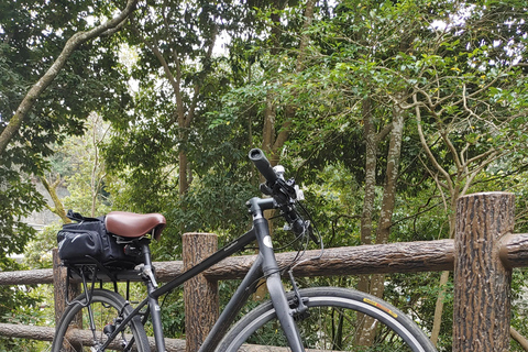 Kioto:Recorrido en Bicicleta por los Tres Jardines