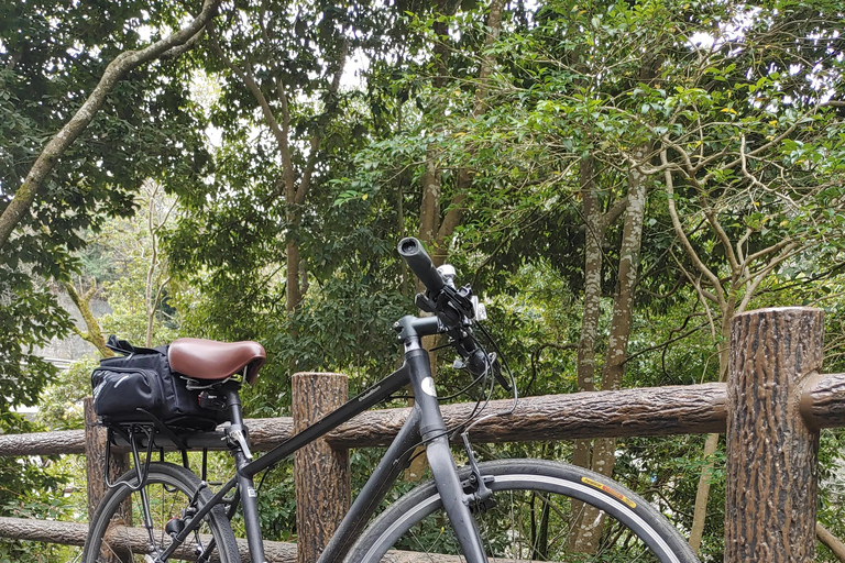 Kioto:Recorrido en Bicicleta por los Tres Jardines