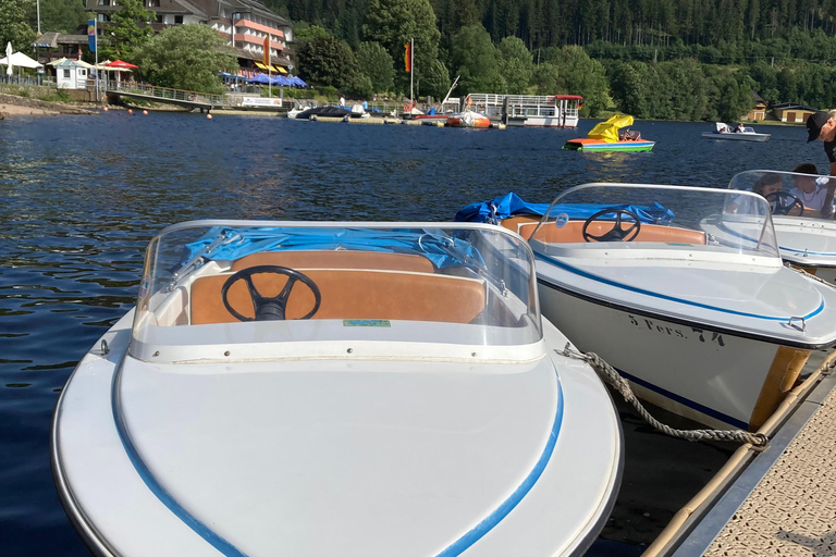 Freiburg, Titisee, and Triberg Excursion: culture, nature, and crafts
