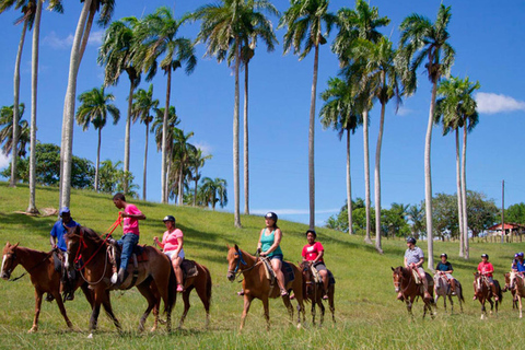 Punta Cana: Higuey Tour Exkursion Kultur