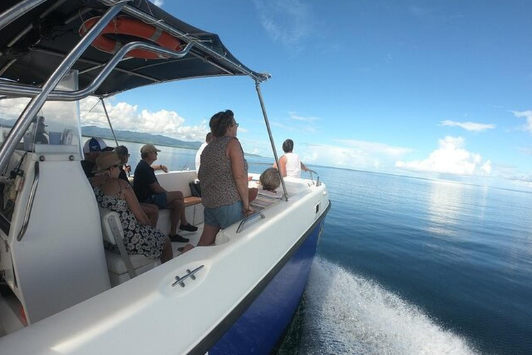Guadeloupe: Small Day Cruise to Ilet Caret and Coral Reef