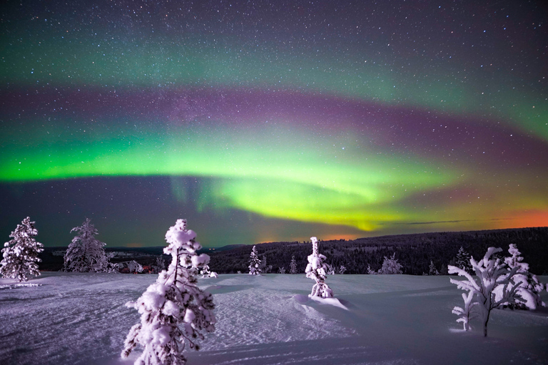 Night Snowshoeing Adventure under the Northern Lights