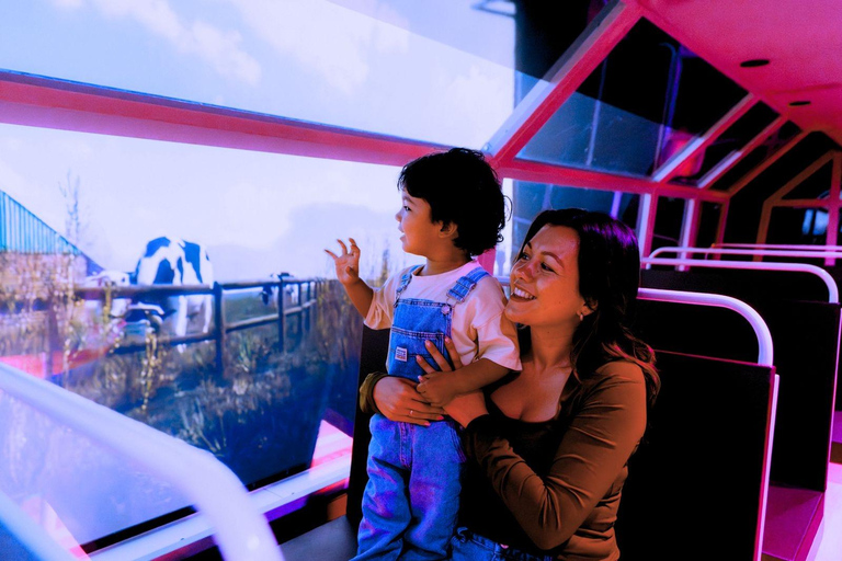 Amsterdam: Discover Holland in a fun experience - Free photo Highlights of Holland: Entry Ticket