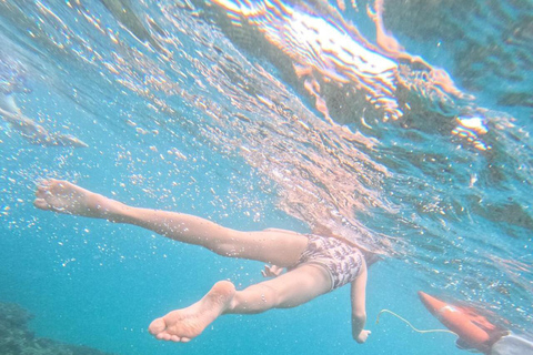 Diani Beach: Kisite Marine Park & Wasini Island Day Trip