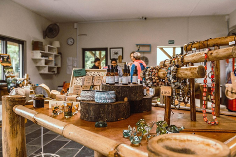 South West Mauritius : Ebony Forest Nature Escape with Lunch Into the Wild South: Ebony Forest Nature Escape with Lunch