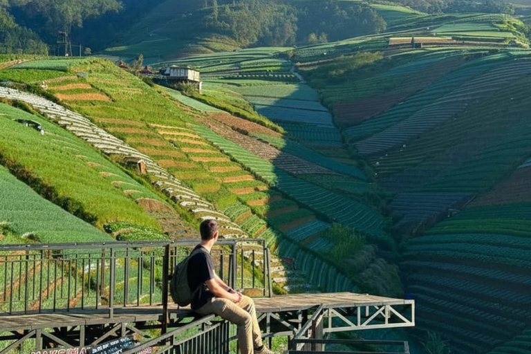 Yogyakarta: Nepal Van Java & Vegetable Village Tour