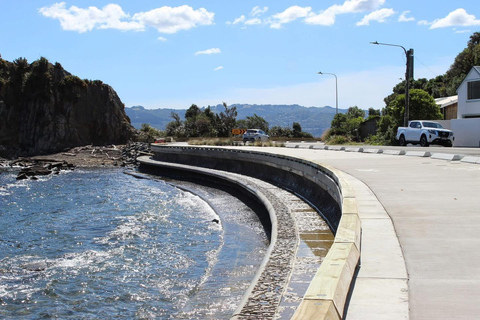 Wellington: eBike around the Harbour then Ferry back