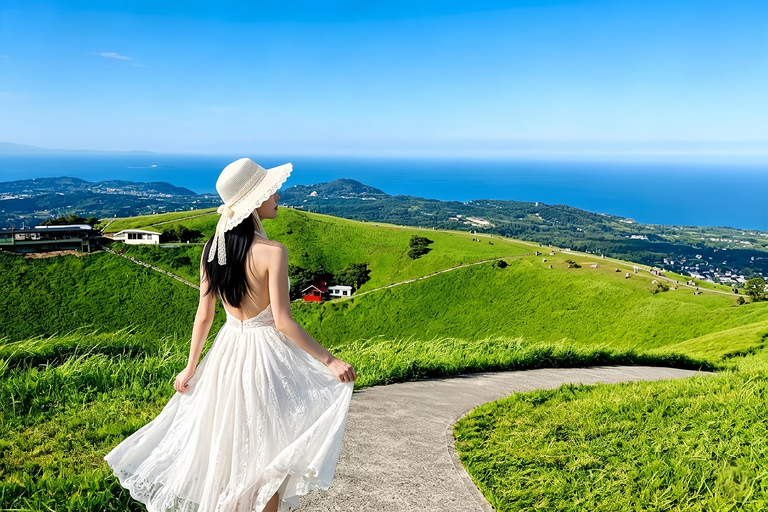 Small Group Day Tour:Omuro Mountain & the Izu Scenic Railway Hotel Transfer Option