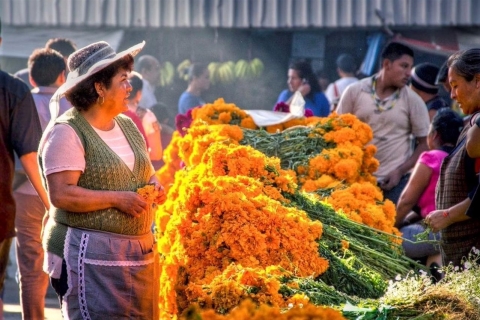 Visite du marché de la ville de Mexico