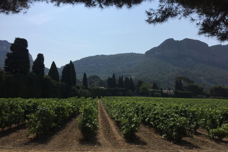 Marsella: Excursión de un día a Aviñón y Cata de Vinos Côtes du Rhône