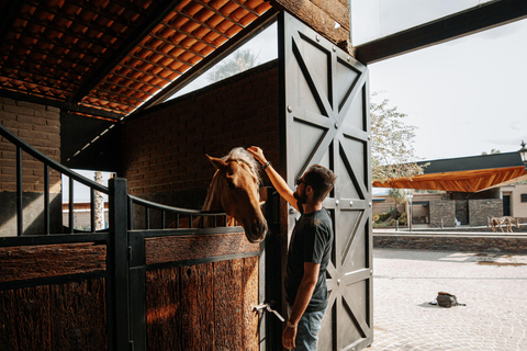 Dragør: Søvang Horseback Riding Tour with Icelandic Horses