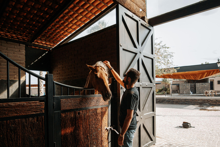 Dragør: Søvang Horseback Riding Tour with Icelandic Horses