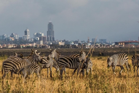 Nairobi National Park and Giraffe Center Guided Tour