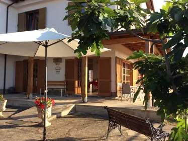 Tropea: Charmant Spaziergang und Weinprobe mit Live-Musik Tropea: Charmant Spaziergang und Weinprobe mit Live-Musik
