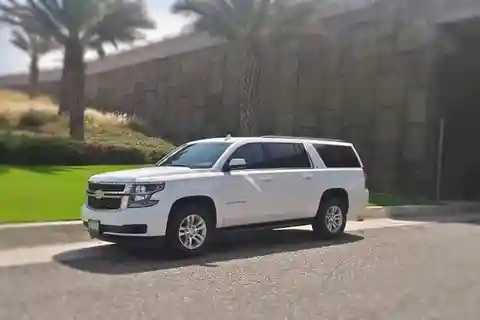Los Cabos: SJD Airport to Cabo San Lucas Private Transfer