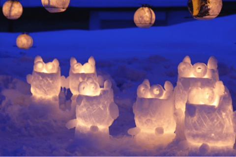 Sapporo: Otaru Snow Light Path Festival Private Day Trip No return to Sapporo