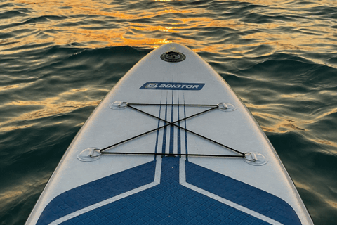Tbilisi: Bazaleti Lake Stand-Up Paddleboarding Tour