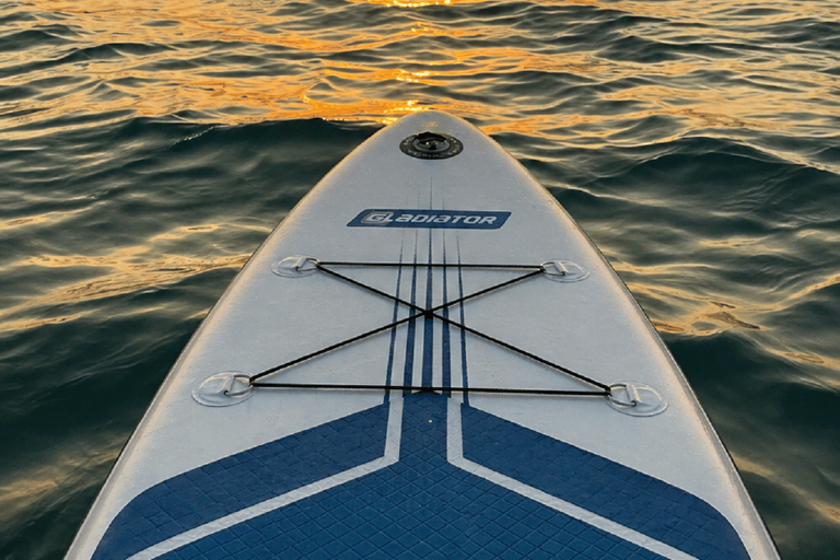 Tbilisi: Bazaleti Lake Stand-Up Paddleboarding Tour