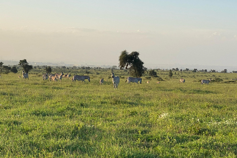 Nairobi: begeleide fietssafari met transfer en maaltijdNairobi: begeleide fietssafari met transfers (zonder maaltijden)