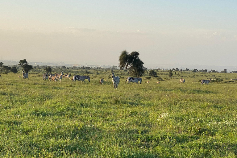 Nairobi: begeleide fietssafari met transfer en maaltijdNairobi: begeleide fietssafari met transfers (zonder maaltijden)