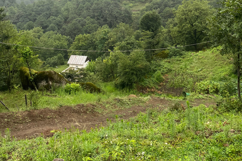 Baku: Shirhal Waterfall Canyoning Adventure with Lunch