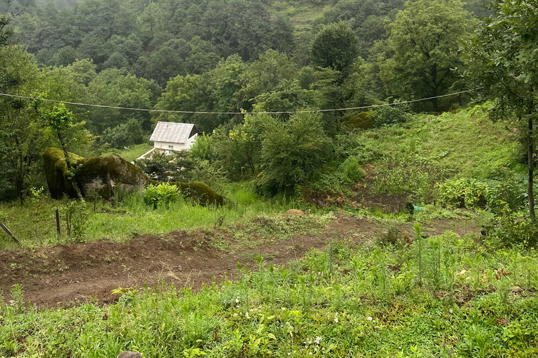 Baku: Shirhal Waterfall Canyoning Adventure with Lunch