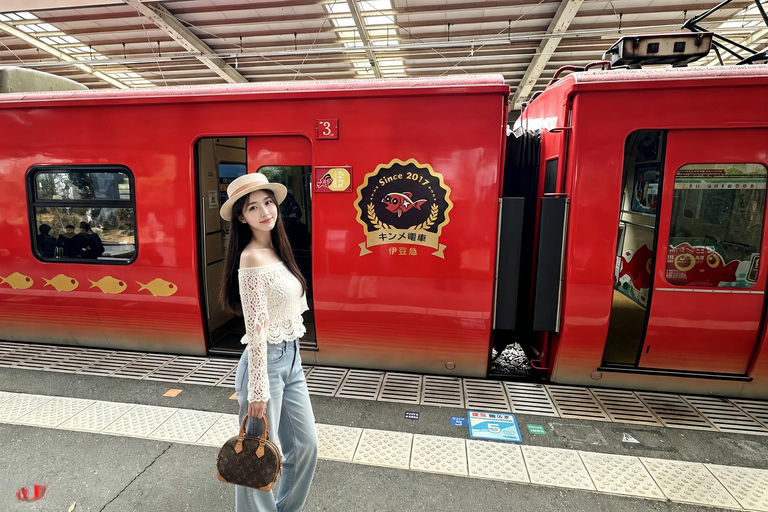 Small Group Day Tour:Omuro Mountain & the Izu Scenic Railway Hotel Transfer Option