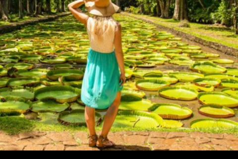 Mauritius: Private North Island Tour with Guide English North Discovery Tour