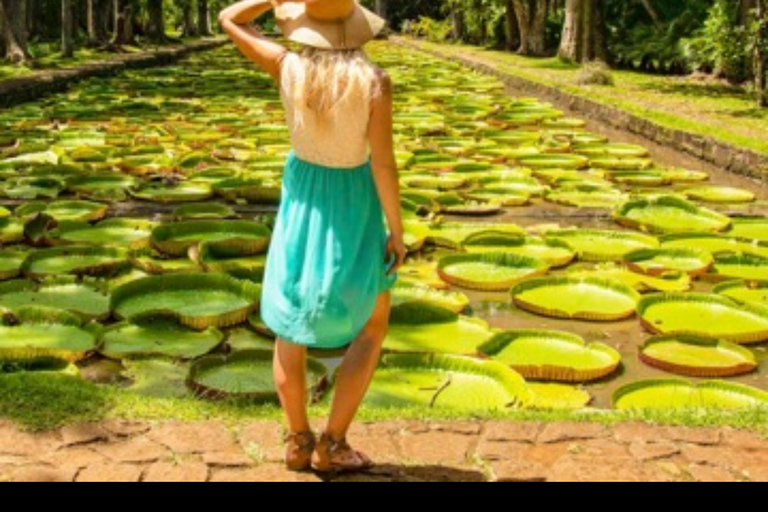 Mauritius: Private North Island Tour with Guide English North Discovery Tour