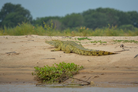 Depuis Zanzibar : Safari de nuit dans le Selous G.R. avec volssafari partagé