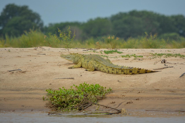 From Zanzibar: Overnight Selous G.R. Safari with Flights shared safari