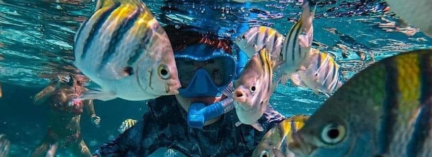 Bali : Plongée en apnée à deux endroits avec déjeuner et transport