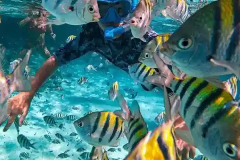 Bali : Snorkeling at two Spots with Lunch and transport