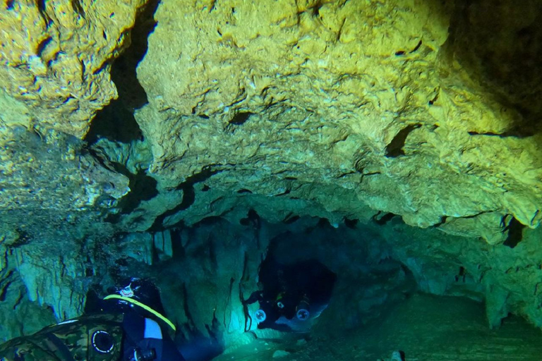 PUNTA CANA: BUCEO EN CAVERNAS O CENOTES