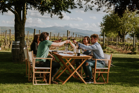 Au départ de Bilbao : La Rioja, un voyage à travers les vignobles et la traditionDepuis Bilbao : La Rioja, un voyage à travers les vignobles et la tradition