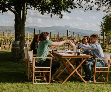 From Bilbao: La Rioja a journey to the vineyards & tradition